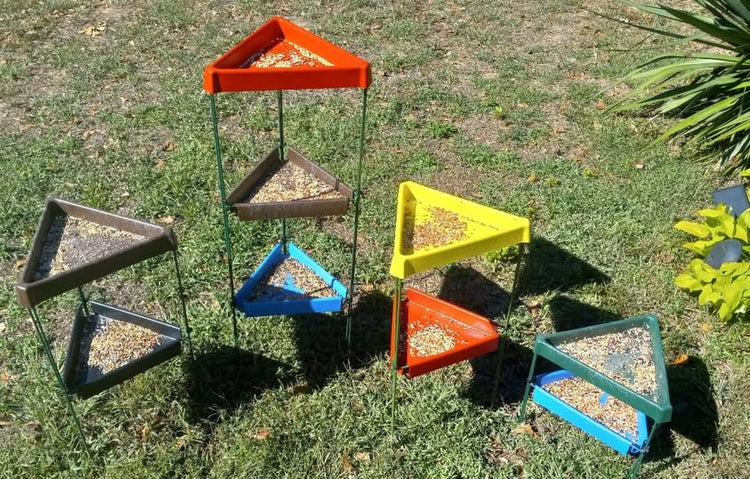 Smart Bird Feeders